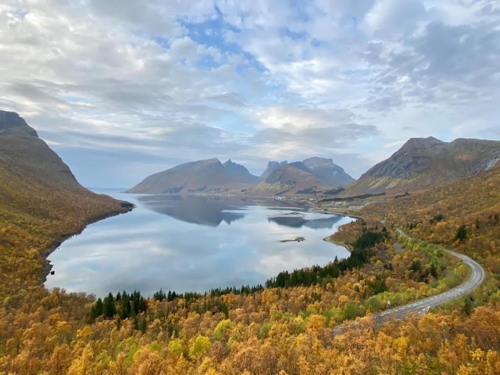 Ferrytale, Cozy, Spacious House On Senja Gryllefjord Extérieur photo