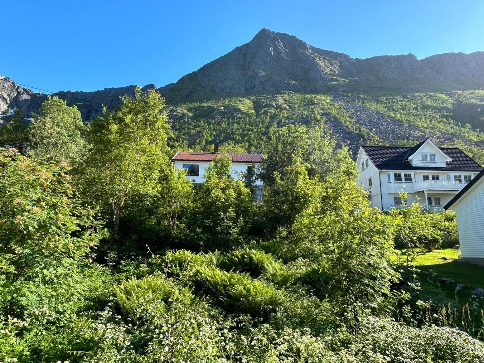 Ferrytale, Cozy, Spacious House On Senja Gryllefjord Extérieur photo
